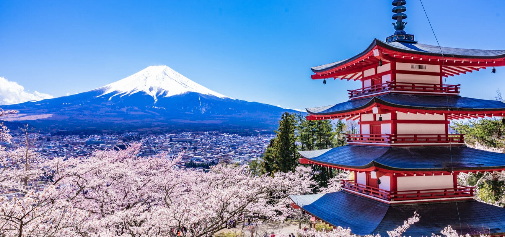 富士山・箱根日帰り観光